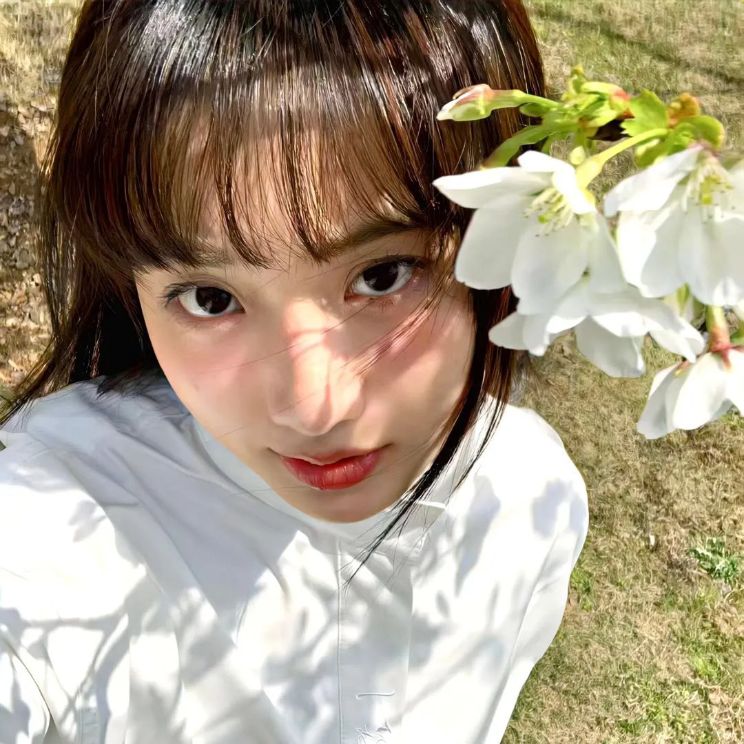 暗芝居第六季